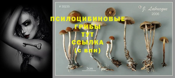 твердый Волоколамск