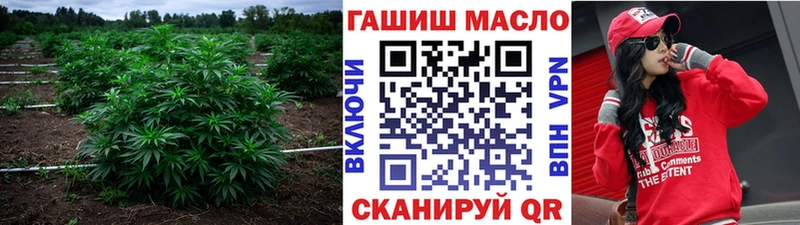 Купить где  Обь  ТГК Wax 