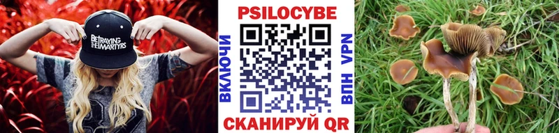 Псилоцибиновые грибы мухоморы  Купить где  Обь 